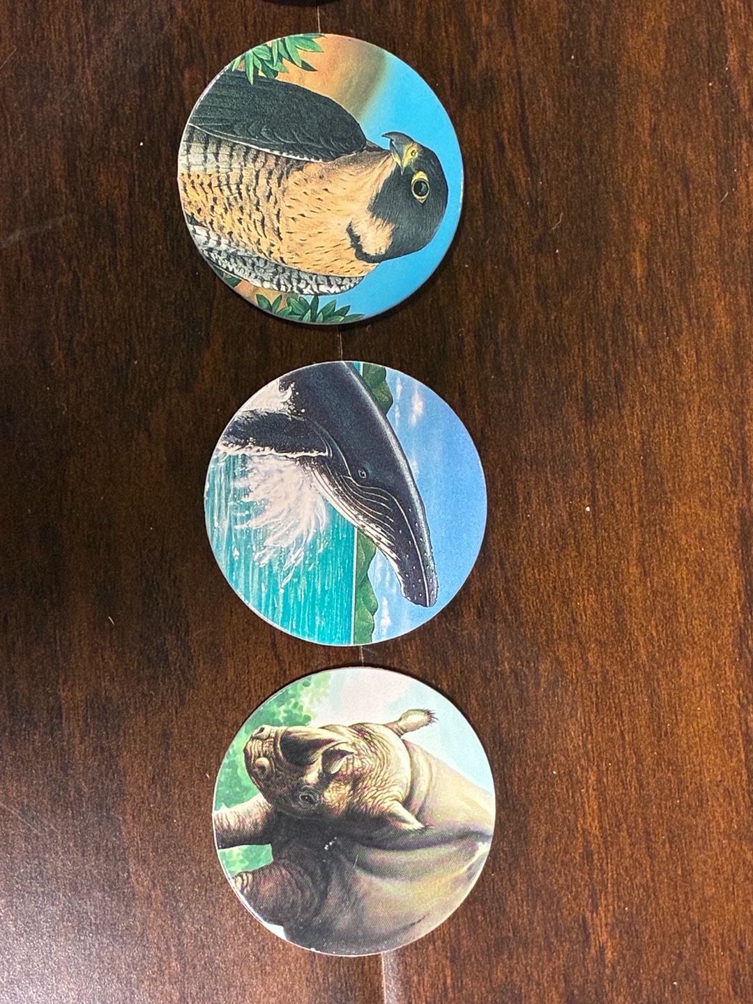 Coca-Cola Collect-A-Card Coke Cap Pogs Set of 13 Vintage 1990s Collectible Drink 3