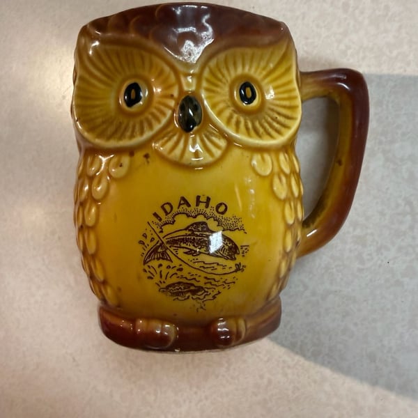 Vintage Idaho Owl Figural Ceramic Mug Made In Japan