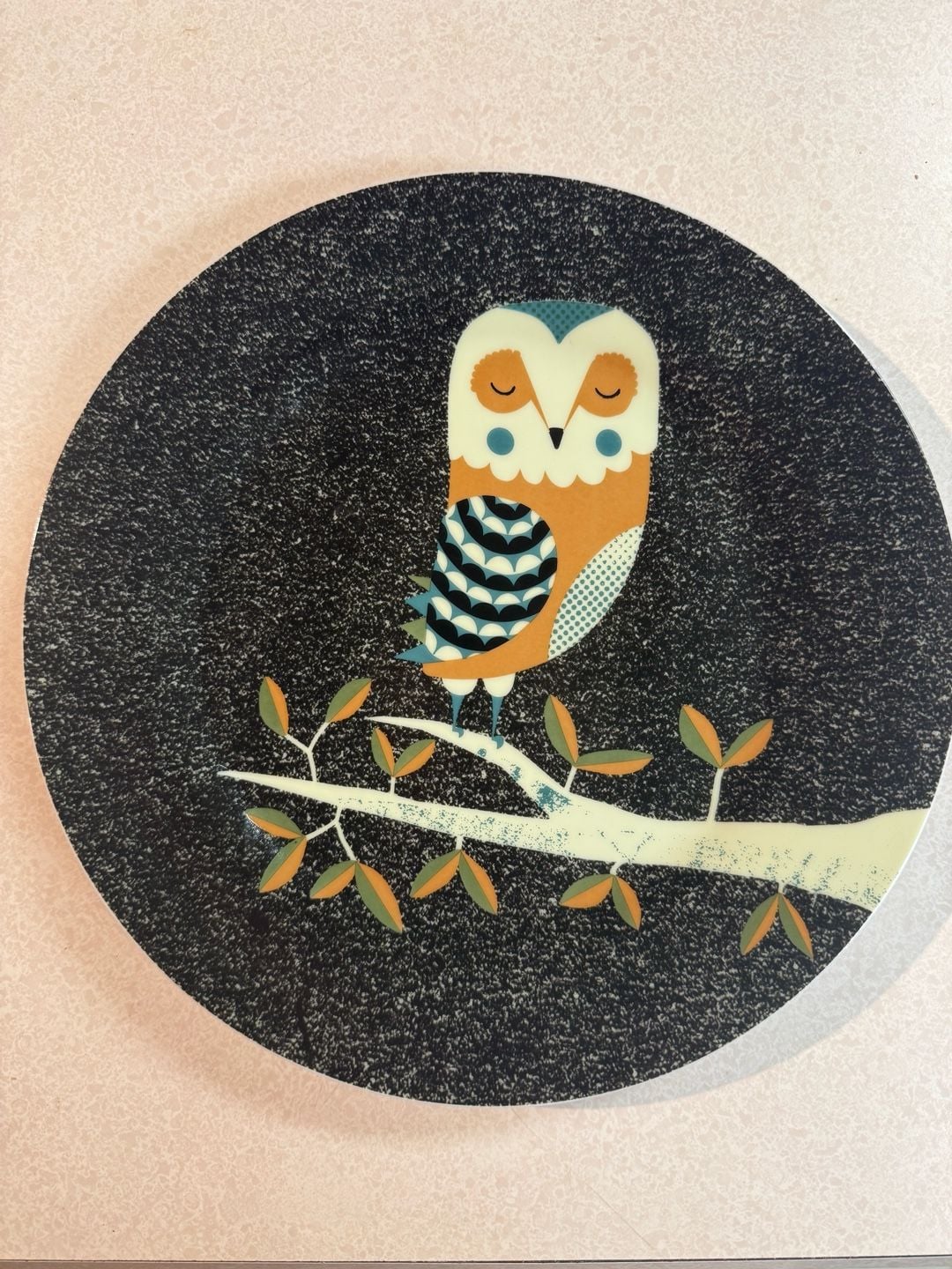Magpie Tom Frost Dusk Wildlife Sleeping Owl Ceramic Plate 1