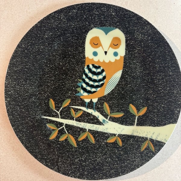 Magpie Tom Frost Dusk Wildlife Sleeping Owl Ceramic Plate