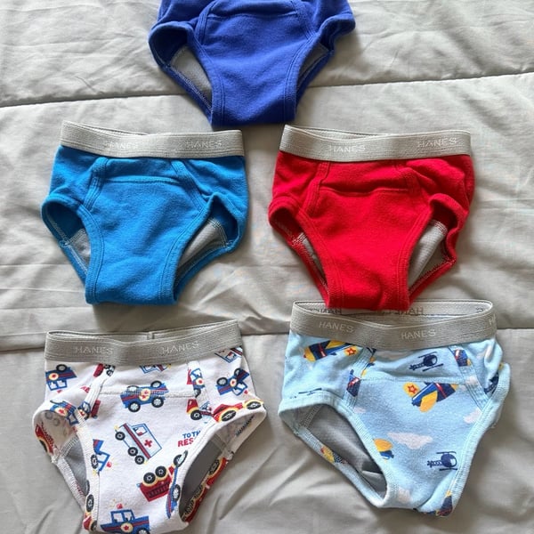 Hanes Toddler Boy Training Underwear Briefs Size 2T-3T 5 Pack