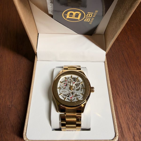 BIBI Luxury Watch Automatic Gold Skeleton Stainless Steel Watch
