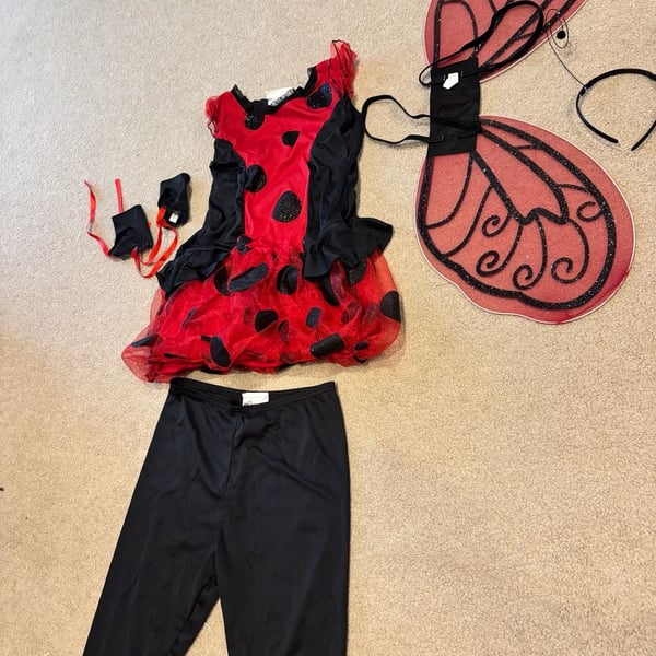 California Costumes Cute as a Bug Ladybug Halloween Costume – Girls Large Plus – Complete Set