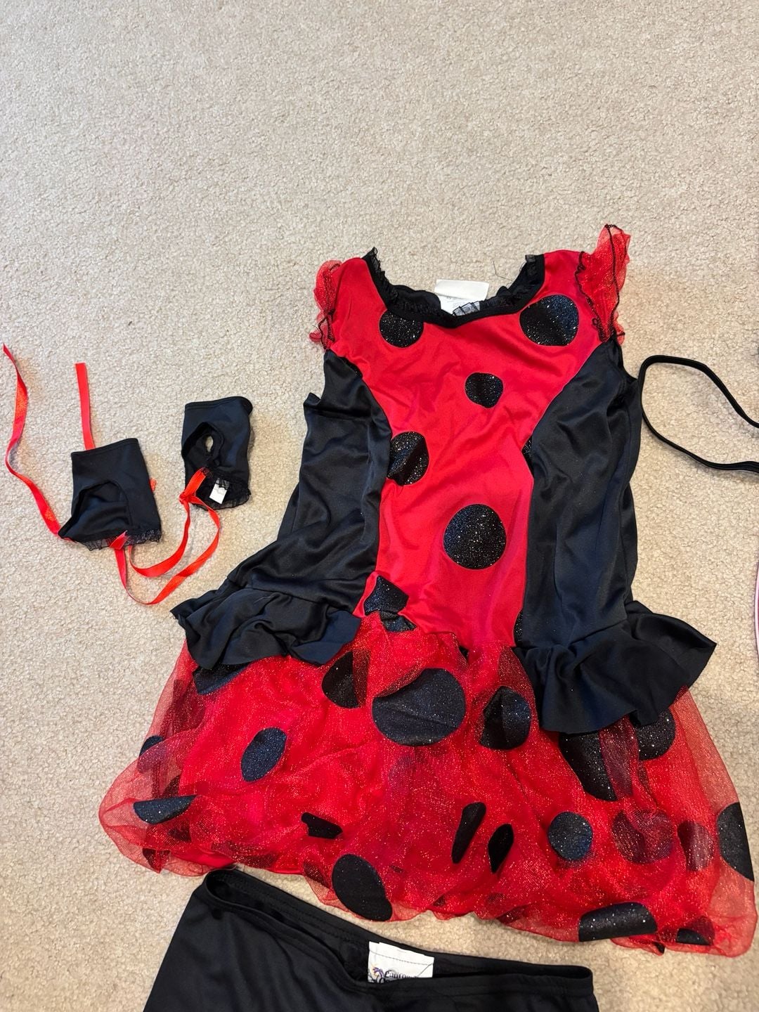 California Costumes Cute as a Bug Ladybug Halloween Costume – Girls Large Plus – Complete Set 5
