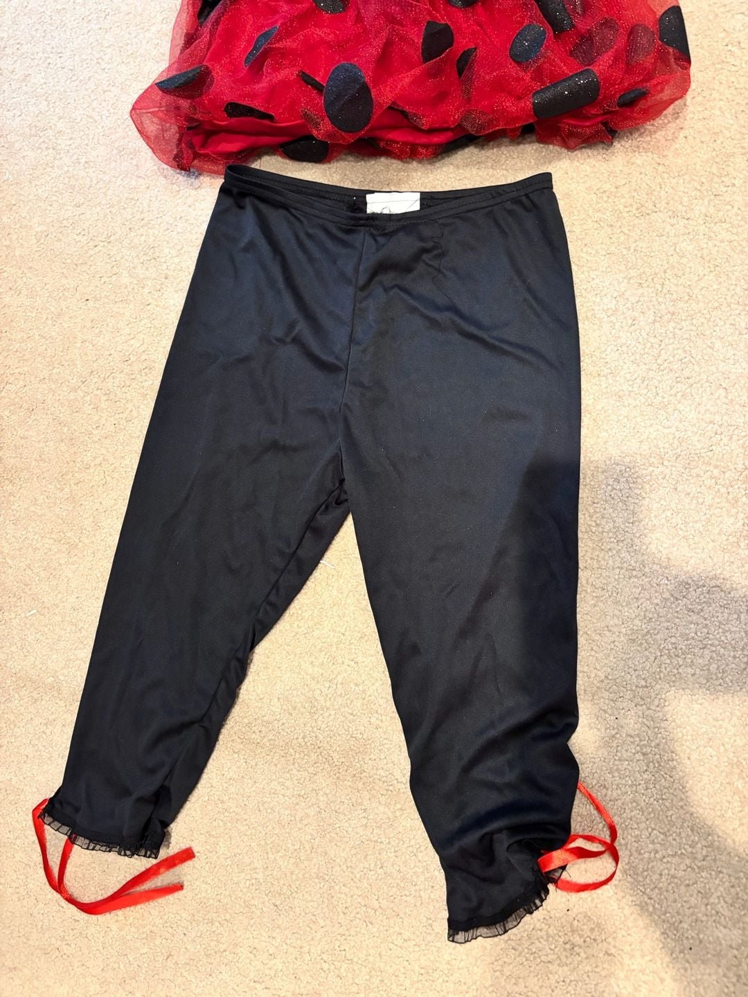 California Costumes Cute as a Bug Ladybug Halloween Costume – Girls Large Plus – Complete Set 6