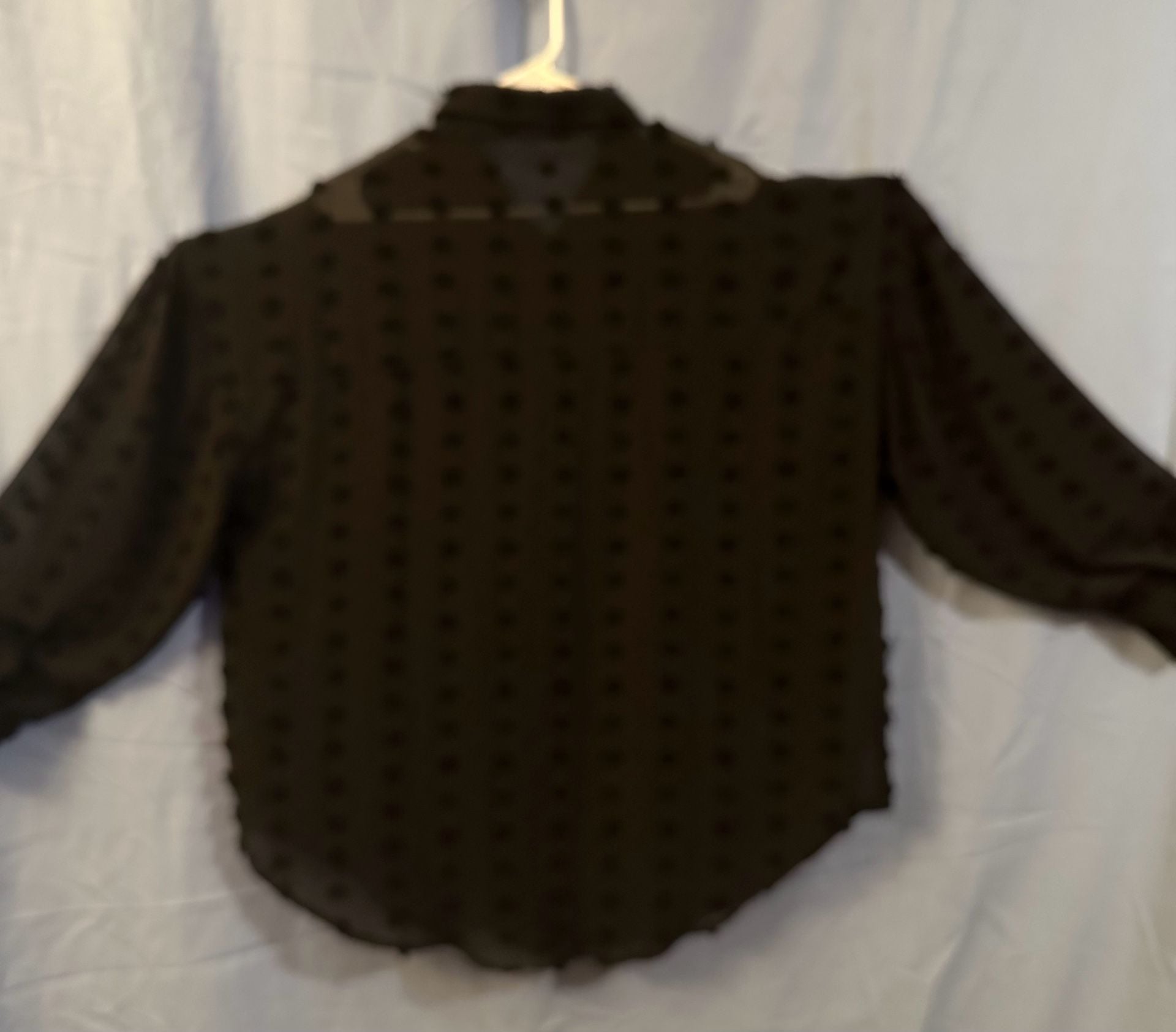 Unbranded Black Sheer Swiss Dot Button Down Shirt Size 2XL 6