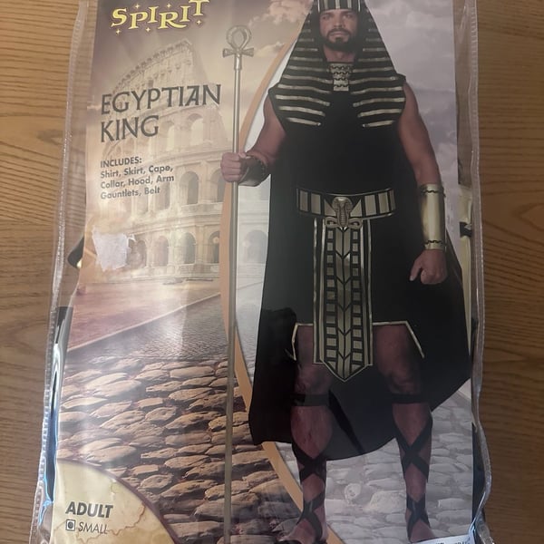 King of Egypt Adult Costume By Spirit Size small- Brand New. Halloween, Dress Up