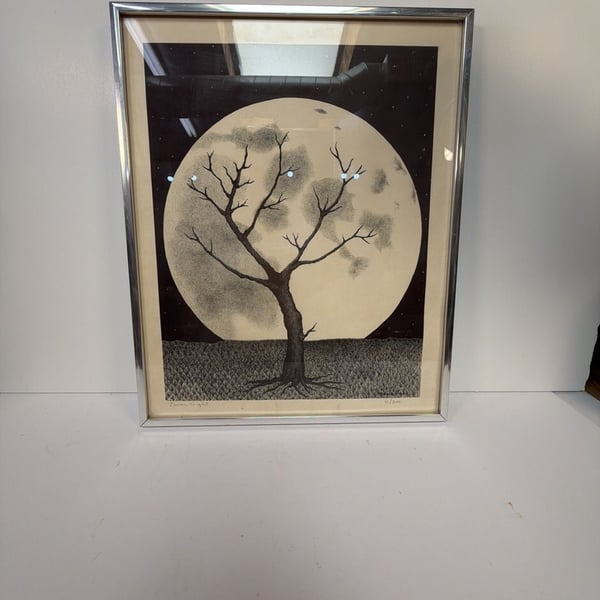 Maria Perez Lunar Night Print 6/300 Silver Frame Art