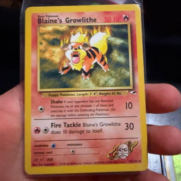 Pokemon Blaine's Growlithe 35/132 Gym Heroes Card