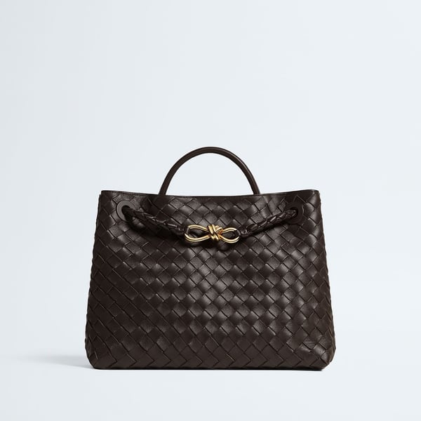 Bottega Veneta Medium Andiamo Intrecciato Shoulder Bag NWT