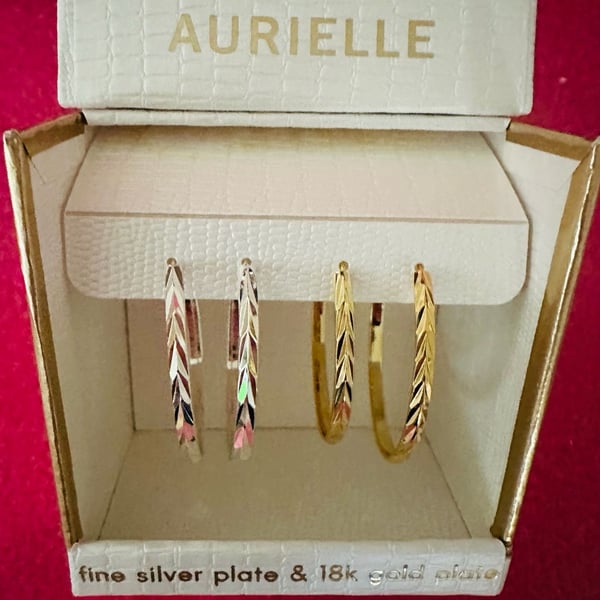 Aurielle Fine Silver Plate & 18k Gold Plate Twisted Hoop Earrings Set of 4