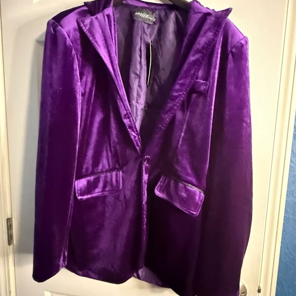 Zhelin Purple Velvet Blazer XXL NWT Jewel Tone Single Button Party Jacket