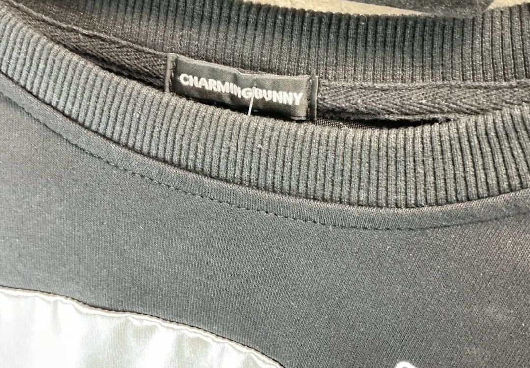 Charming Bunny Los Angeles Graphic Sweatshirt 4