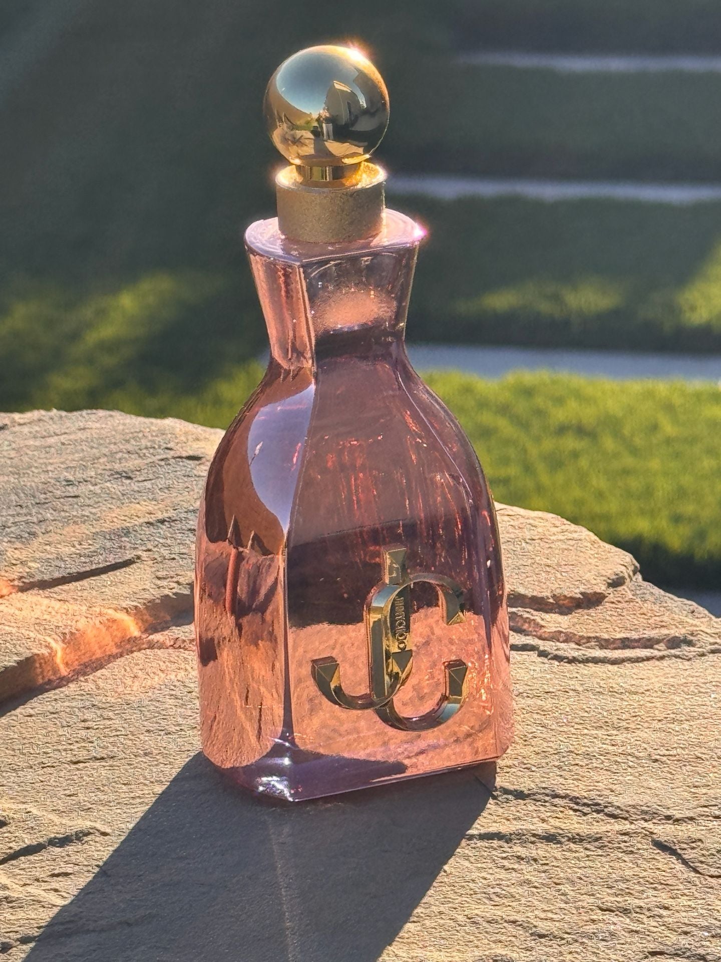 Jimmy Choo I Want Choo Eau de Parfum 100ml 8