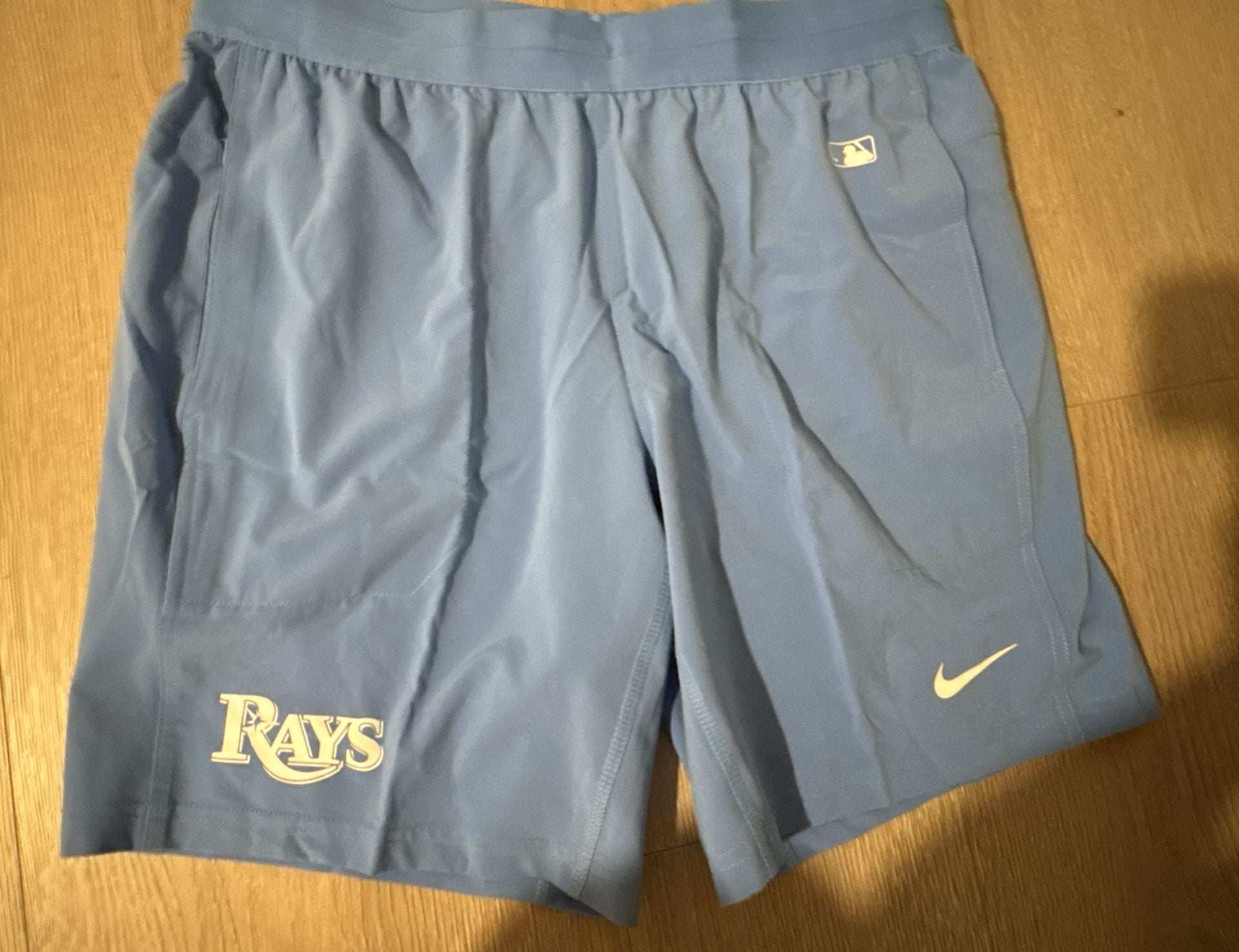 Nike Tampa Bay Rays Dri-FIT Authentic Collection Shorts Size L Blue 2