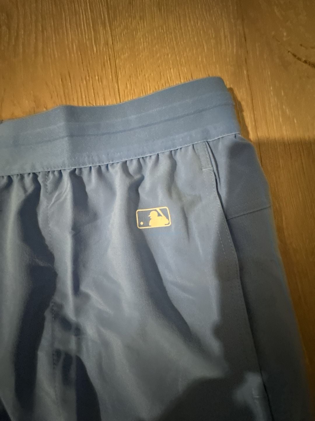 Nike Tampa Bay Rays Dri-FIT Authentic Collection Shorts Size L Blue 5