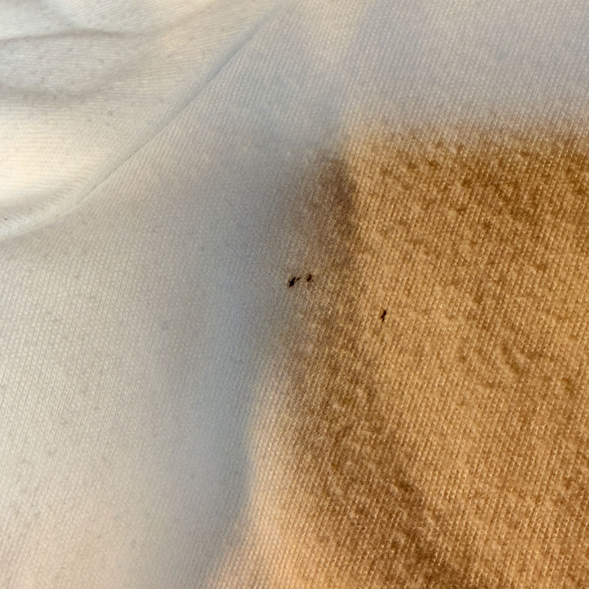 Polo Ralph Lauren Turtleneck Size XL White Long Sleeve Sweater with Pony Logo 8