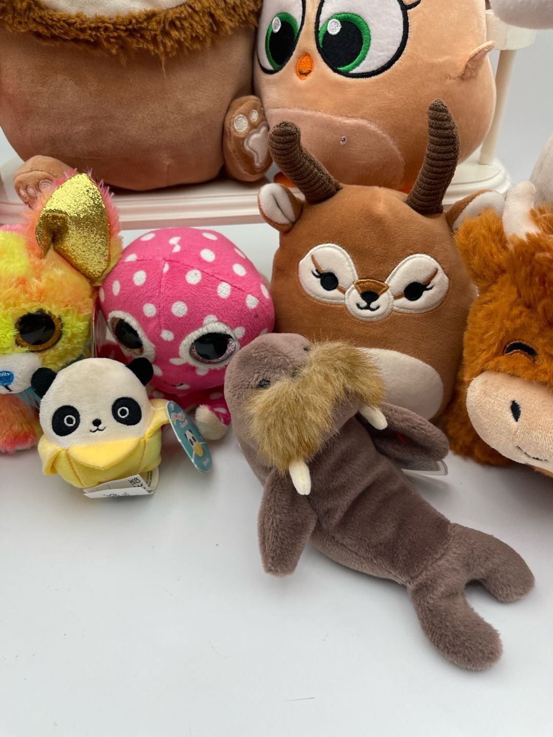 Squishmallows and other Assorted Plush Lot Toy Collection 8