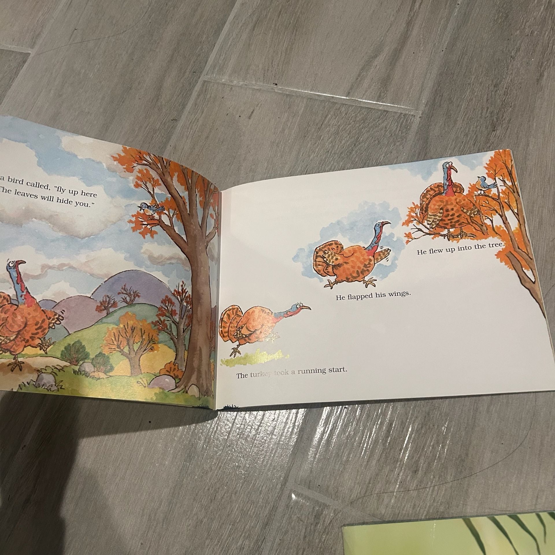 2 Kids Thanksgiving Picture Books – Turkey Surprise & Who Will Carve 3
