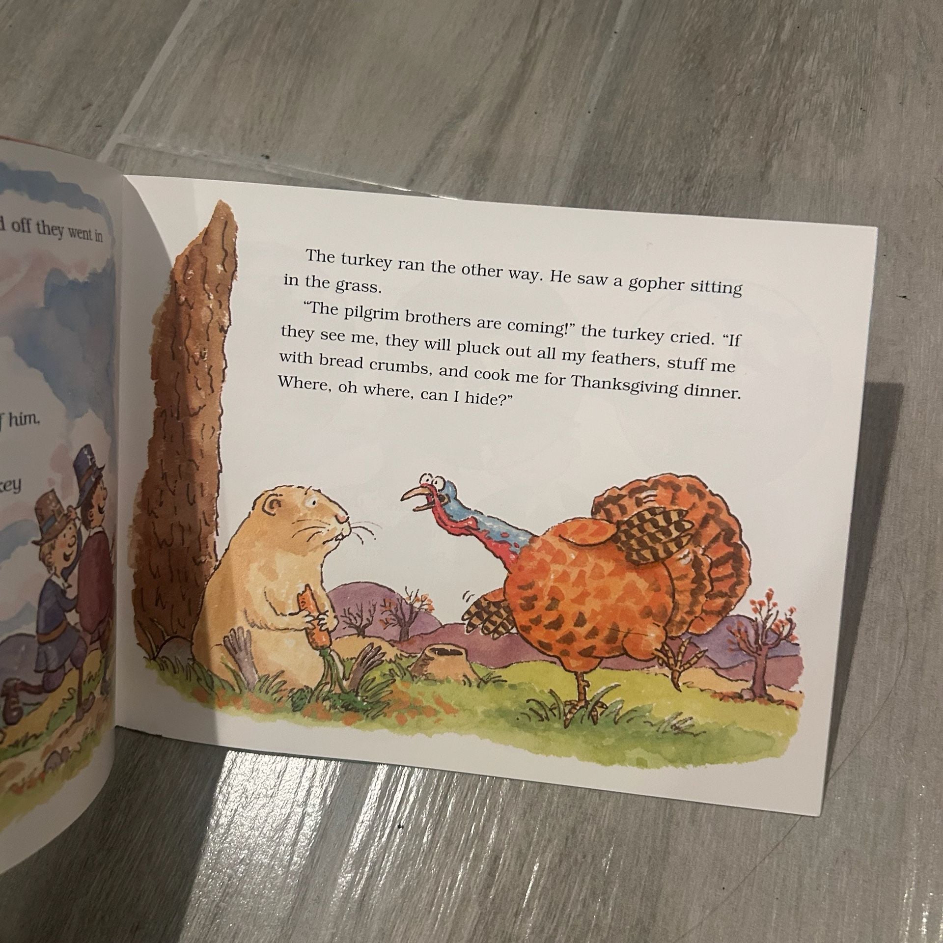 2 Kids Thanksgiving Picture Books – Turkey Surprise & Who Will Carve 4