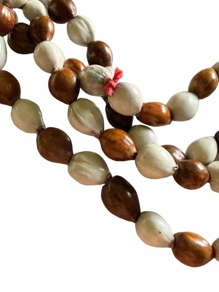 Vintage Job's Tears Seed And Nut Beaded Necklace 4
