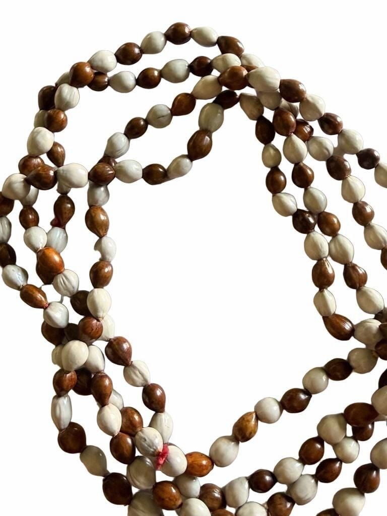 Vintage Job's Tears Seed And Nut Beaded Necklace 8