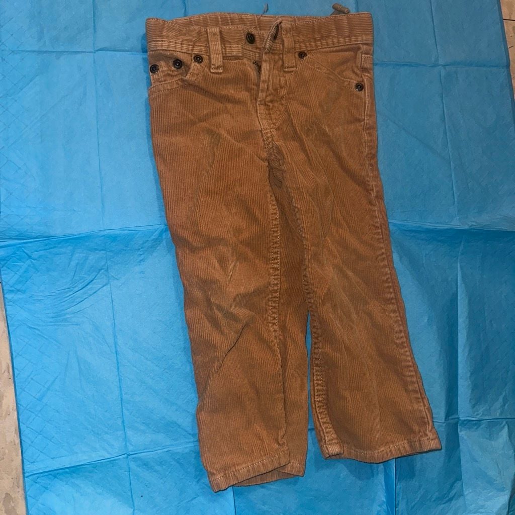 Polo Ralph Lauren Brown Corduroy Pants Size 2/2T 2