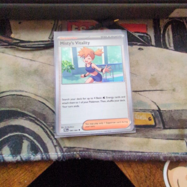 Misty's Vitality Trainer Pitch Black 080/084