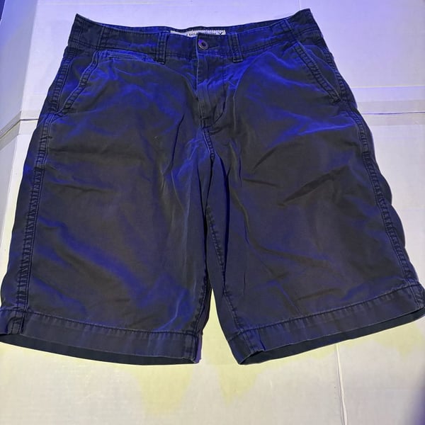 American Eagle Outfitters Longboard Shorts Size 30 Blue Chino
