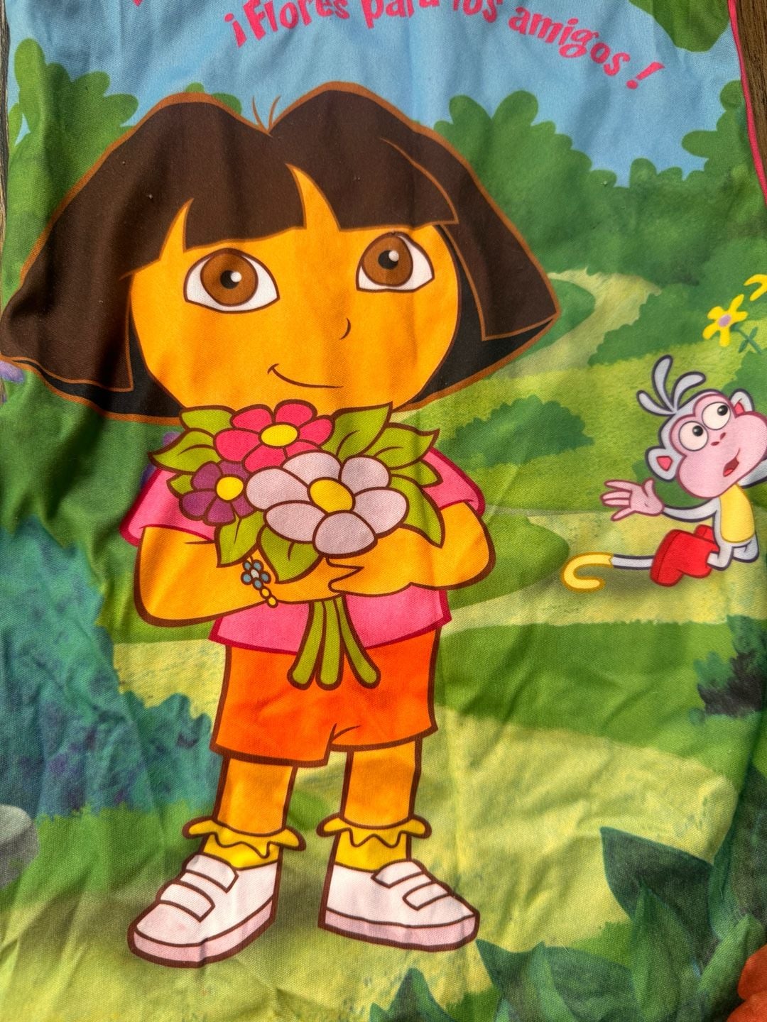 2004 Nick Jr. Dora The Explorer Nightgown Size 5 3
