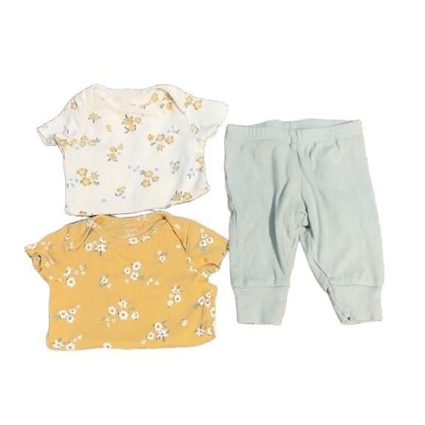 Baby Girl Floral Short Sleeve Bodysuit and Leggings Set 3M