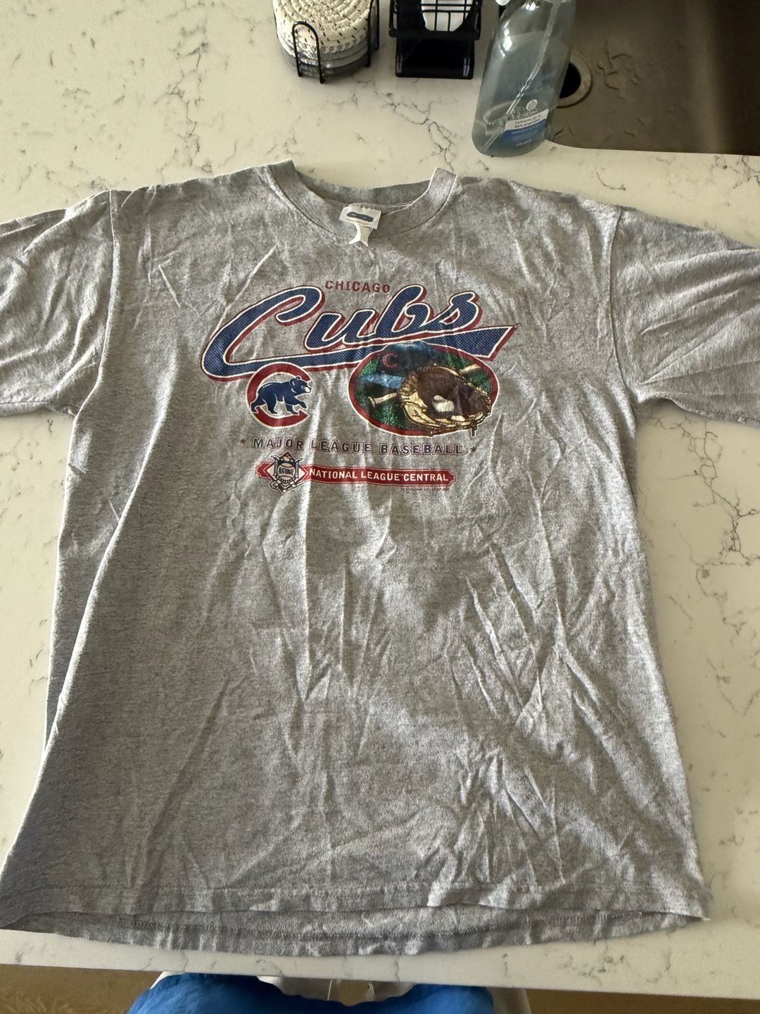Lee Sport Chicago Cubs T-Shirt Size L Gray 2004 MLB National League Central 2