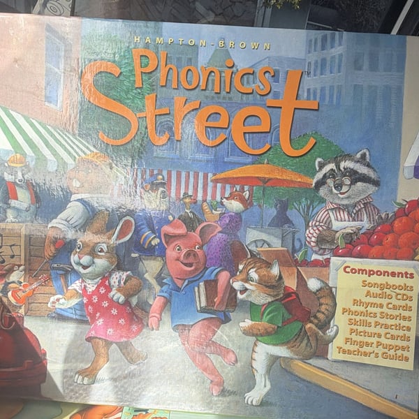 Phonics Street Kit, Hampton Brown, homeschool curriculum lot, intervention, MTSS
