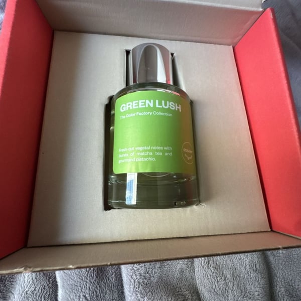 Dossier Originals Color Factory GREEN LUSH