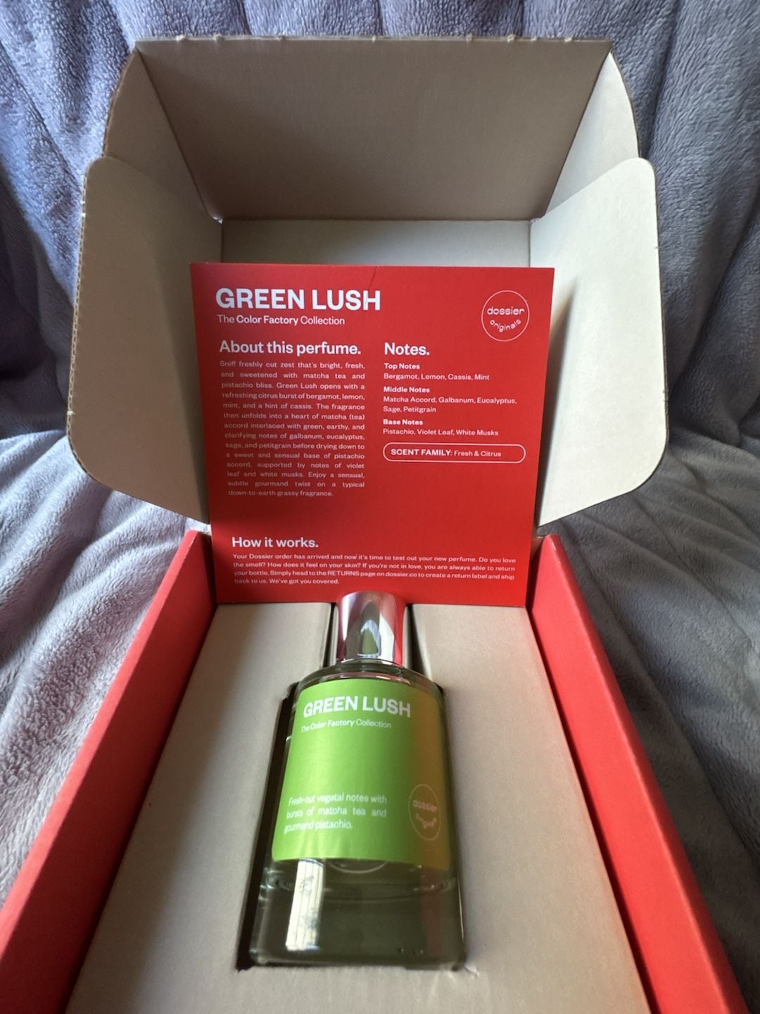 Dossier Originals Color Factory GREEN LUSH 2