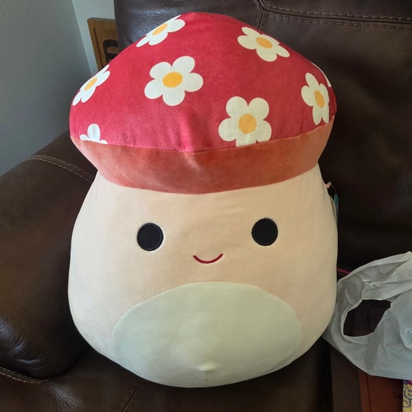 16" Malcolm the Mushroom flower top squishmallow special edition floral cap
