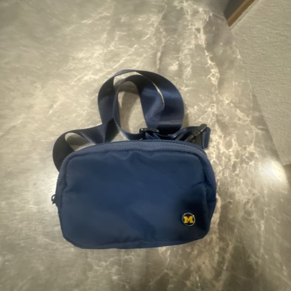 Michigan Wolverines White Everywhere Belt Bag - 272986285,