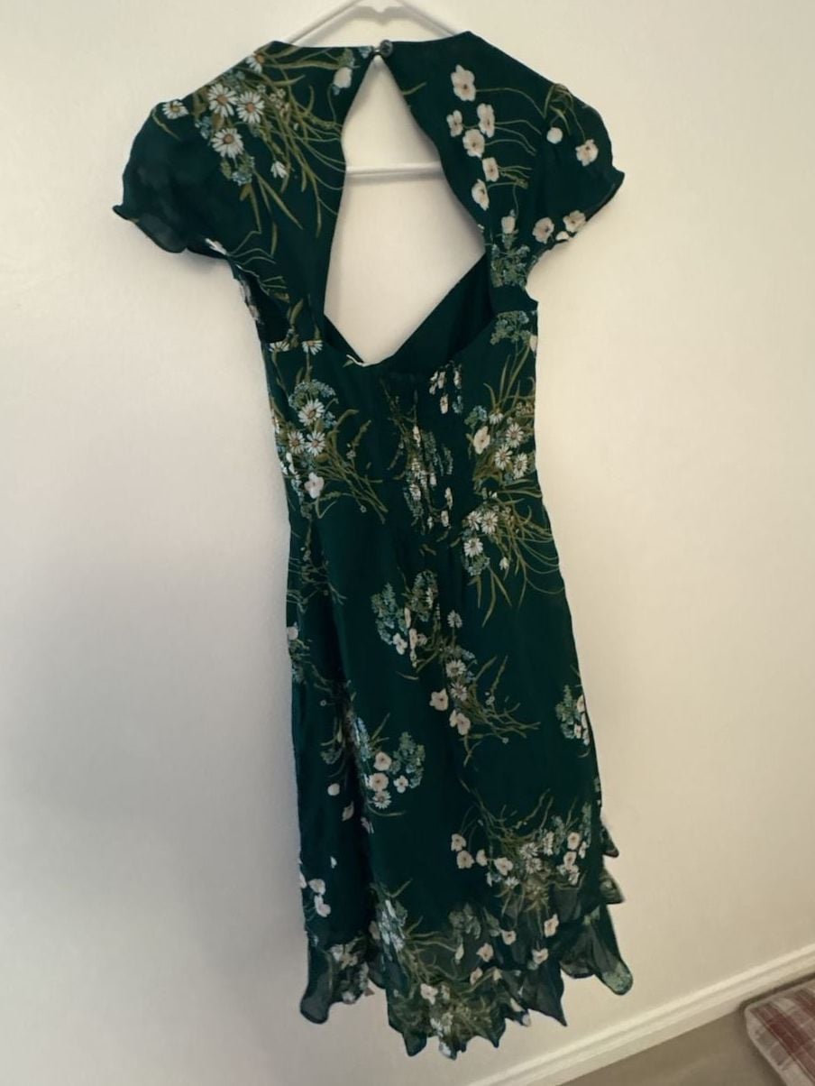 NWT Reformation Rosi Dress Size 0 Green Buena Floral Print Sweetheart NEW 6