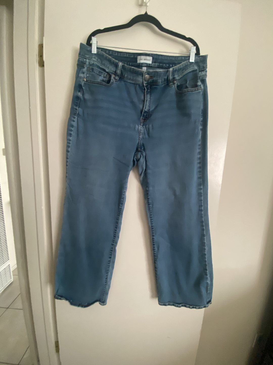 Lane Bryant Jeans Size 18 Blue Denim 2