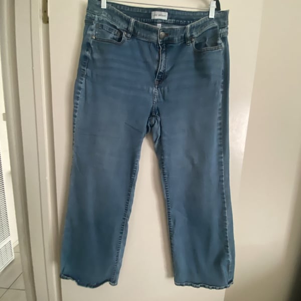 Lane Bryant Jeans Size 18 Blue Denim