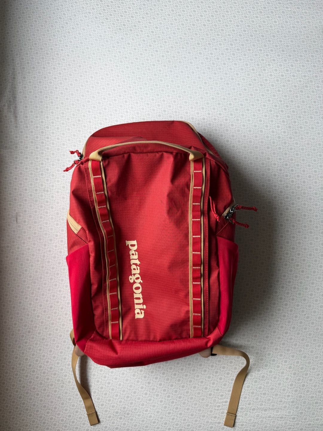 Patagonia Black Hole Pack 32L Red Backpack 2
