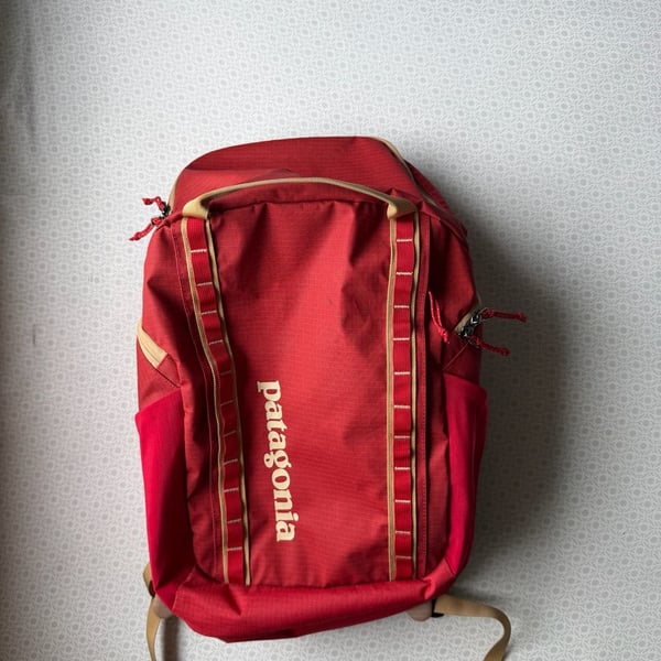 Patagonia Black Hole Pack 32L Red Backpack