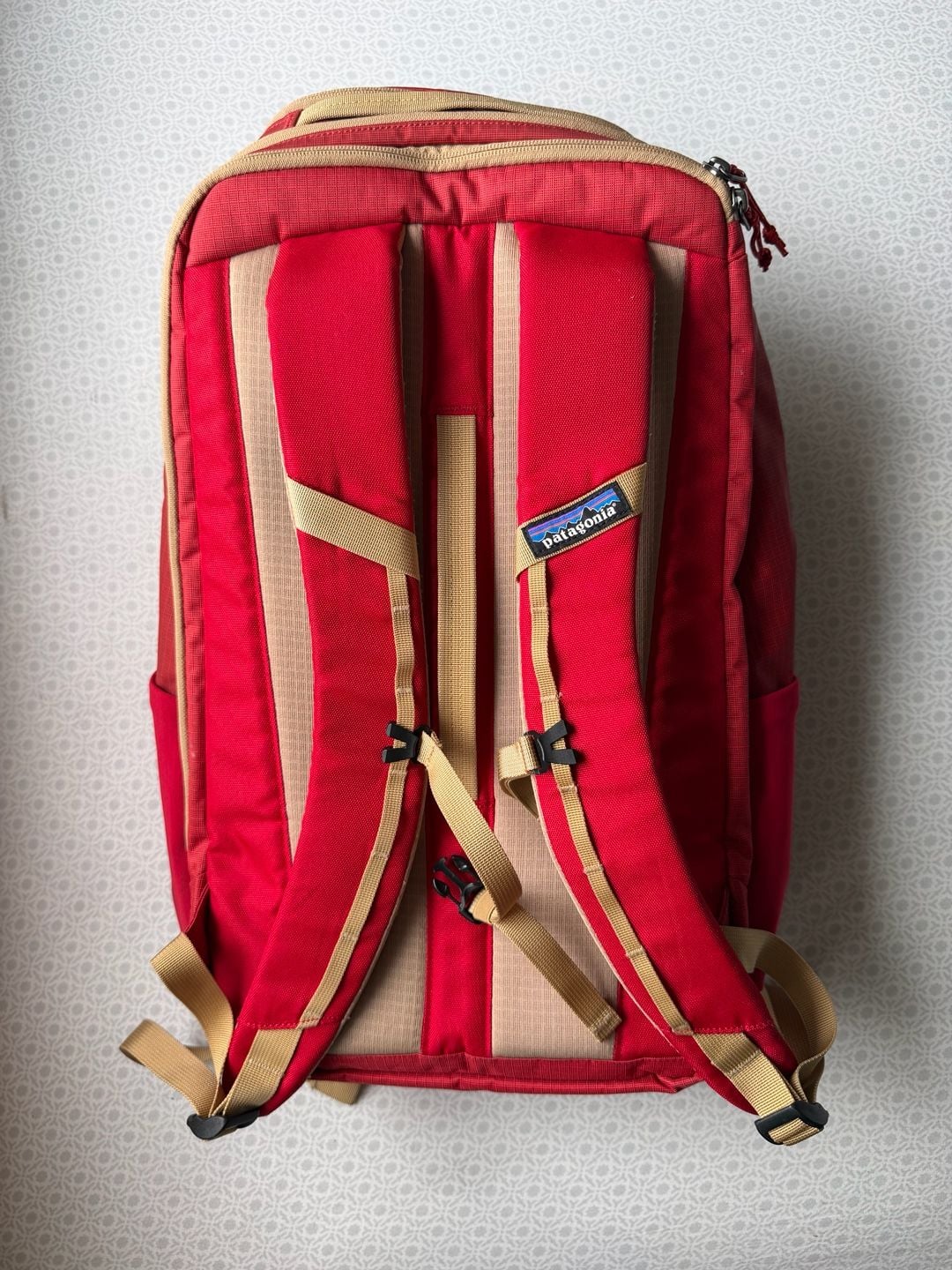 Patagonia Black Hole Pack 32L Red Backpack 4