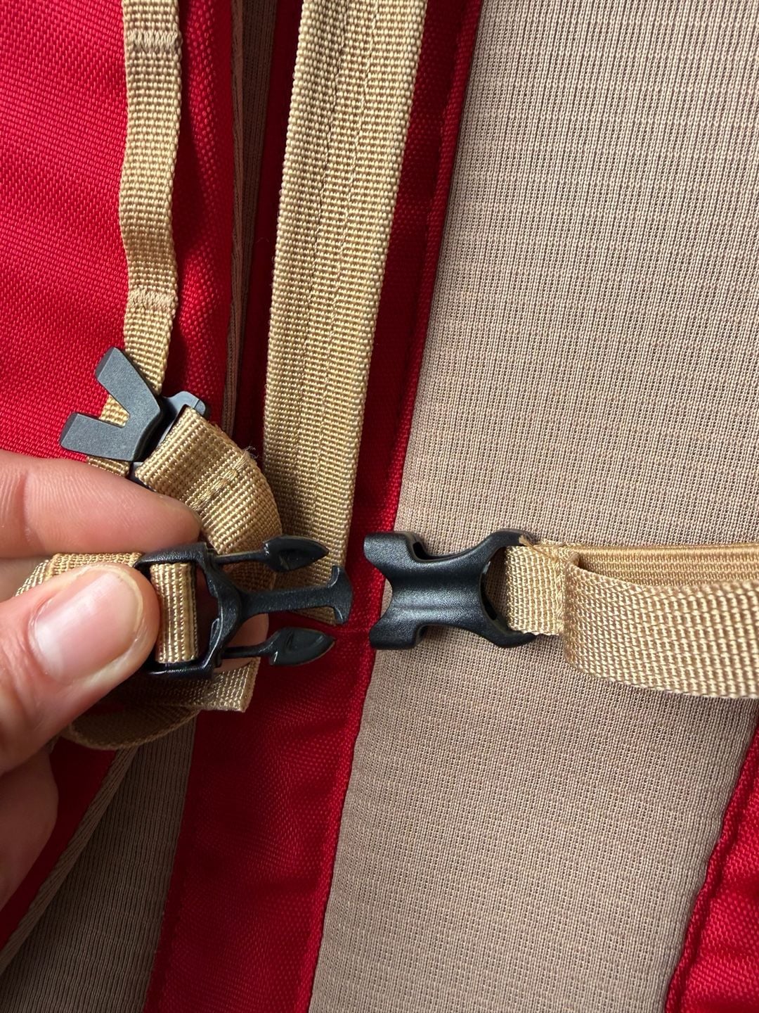 Patagonia Black Hole Pack 32L Red Backpack 10