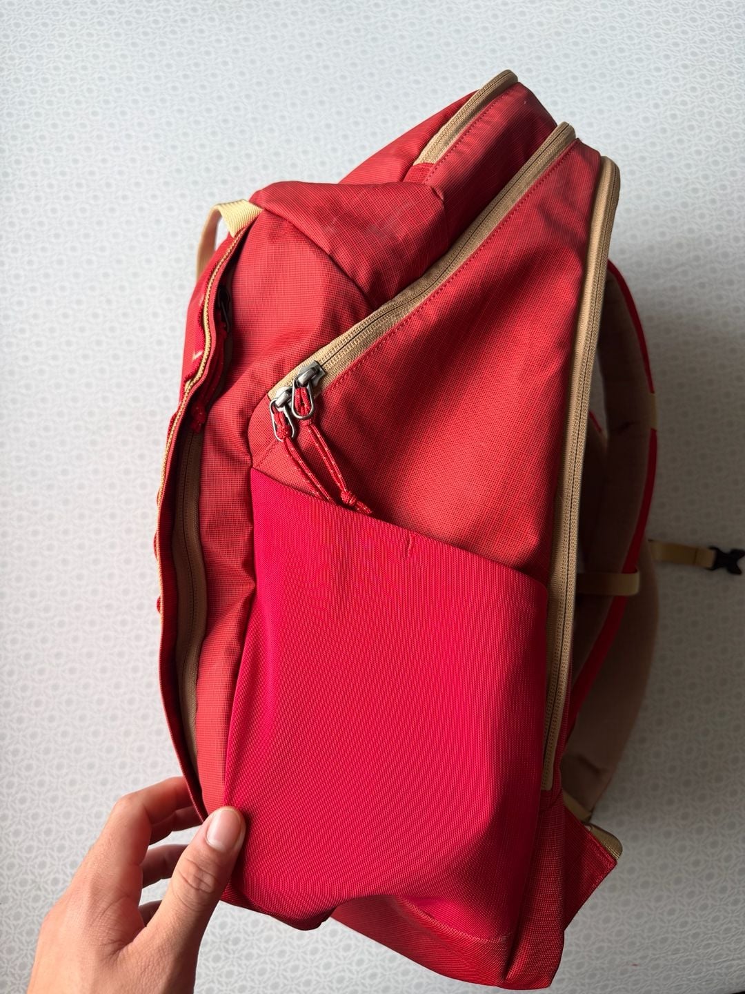 Patagonia Black Hole Pack 32L Red Backpack 12