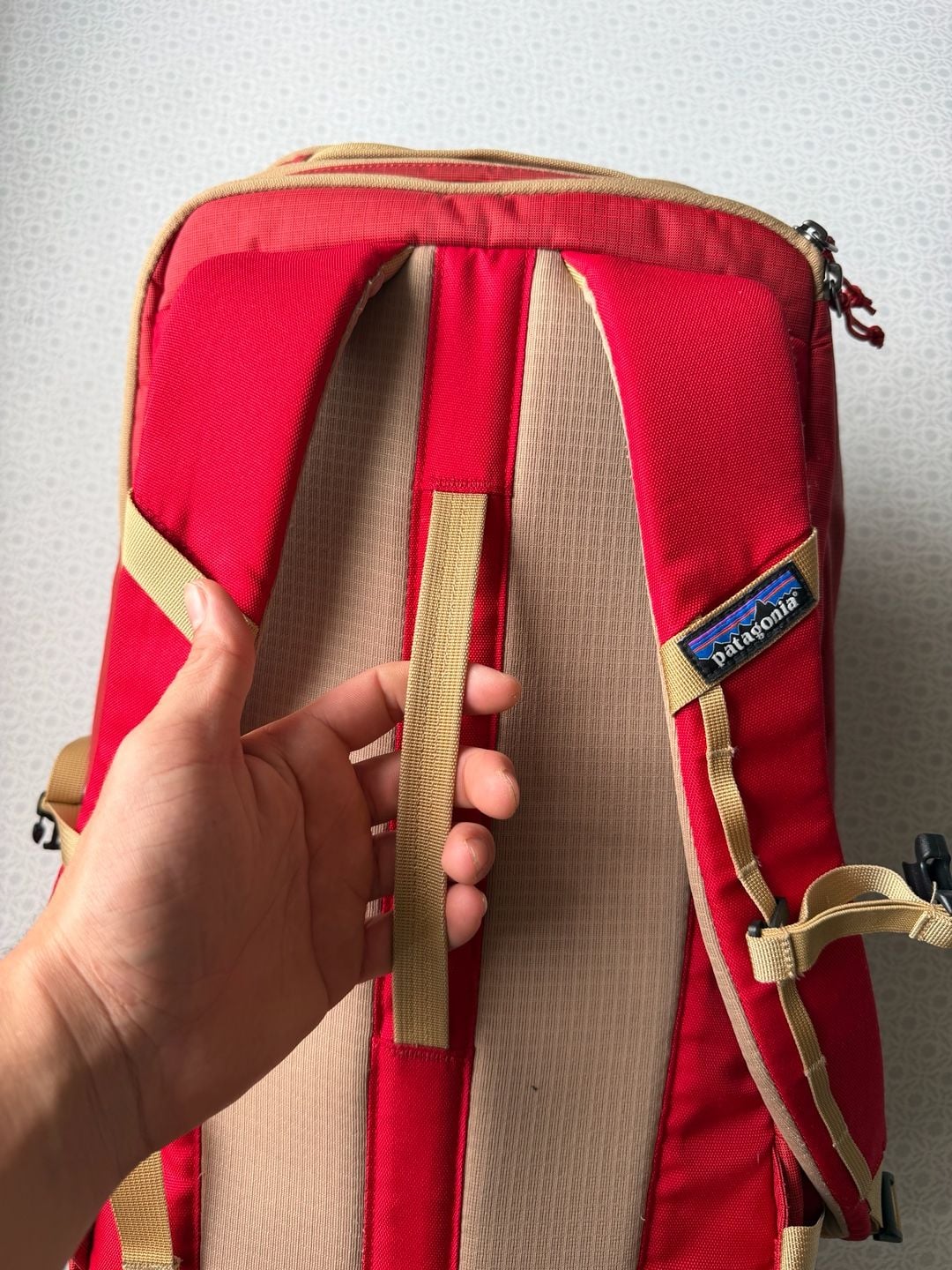 Patagonia Black Hole Pack 32L Red Backpack 13