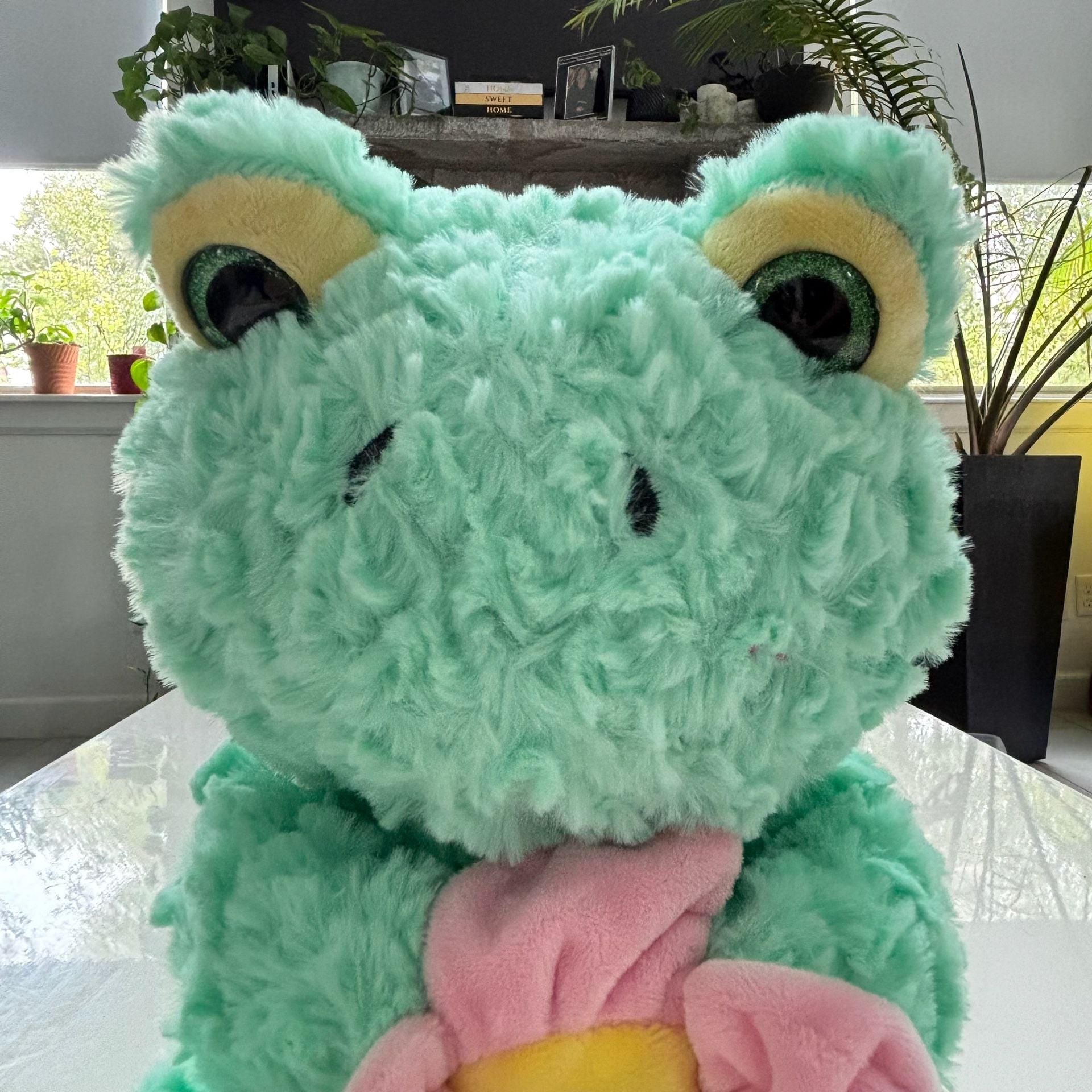 Hugfun Green Frog 12 Inch Holding Pink Flower Plush Stuffed Animal 2