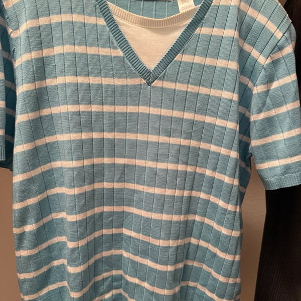 Alfred Dunner Striped V-Neck Sweater Size L Blue White