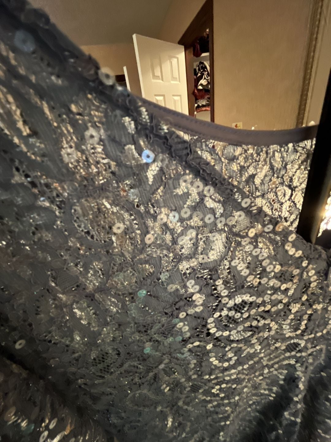 Alex Evenings Dress Size 14 Blue Lace Evening Gown 13