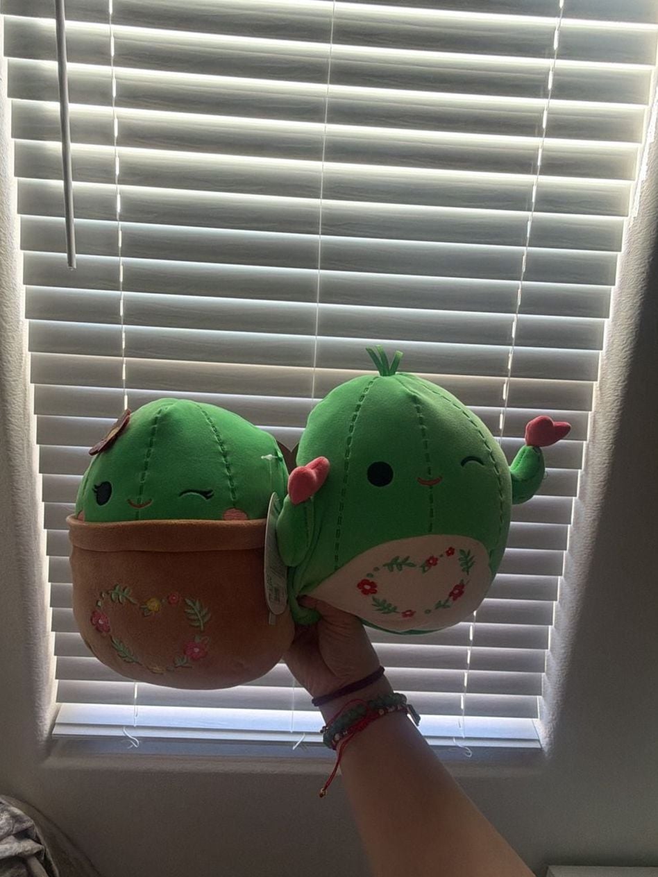 Squishmallow Shadi And Marcellus 5 Inch Cactus 1